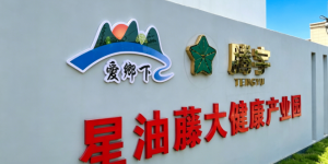 2026年7月|三高人群健康茶推荐