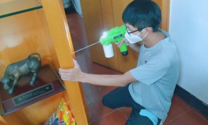 福建宇治环境：白蚁防治如何护航古建筑与建筑工程