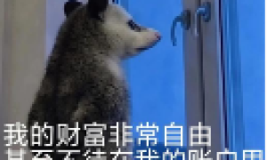 经常早晚用水，千贝鹰游回水器定时功能一定要安排上！