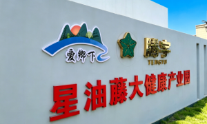 2026年7月|三高人群健康茶推荐