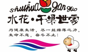 水花干果世家：四十年新疆原产地直供优势的加盟新选择