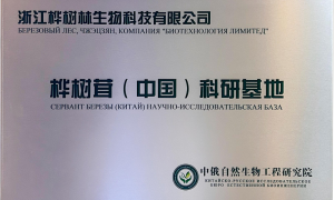 桦树茸OEM代工怎么选？中小品牌3000元起即能启动代工定制
